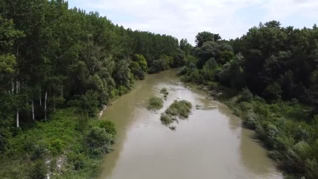 We flooded a forest - the result blew our minds-4