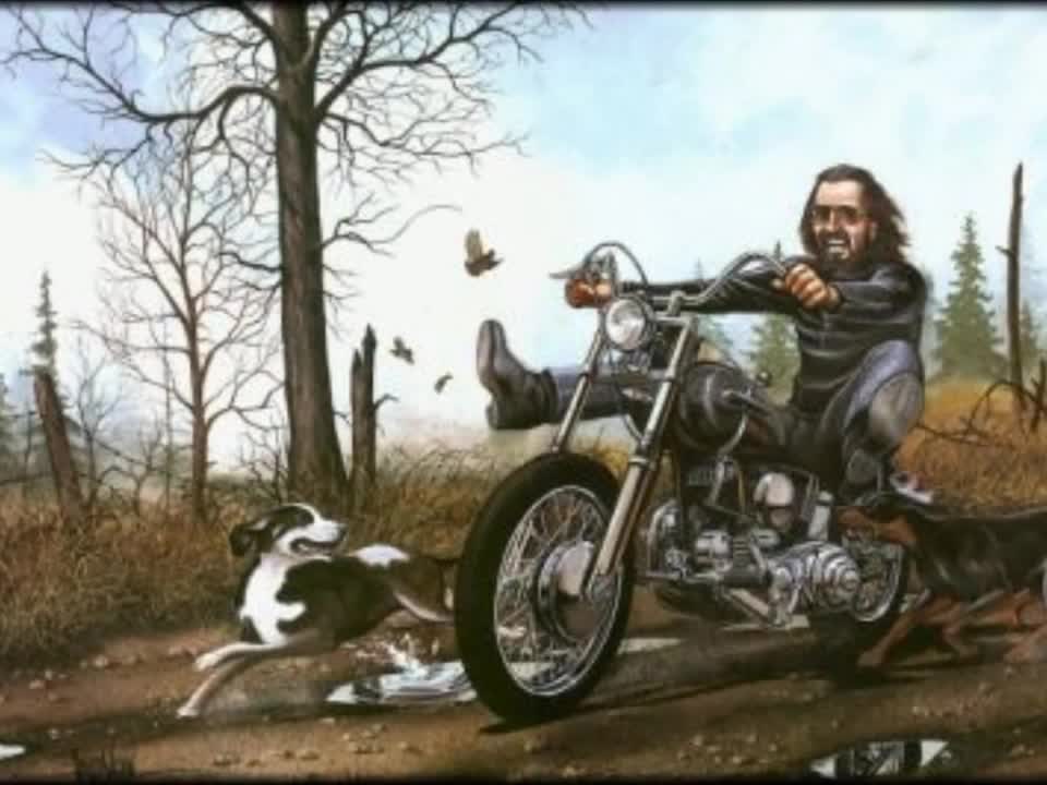 DAVID MANN