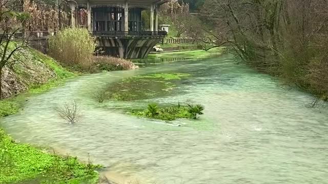 Heal in a moment with nice views and sounds of the montain river ASMR