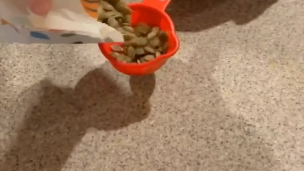 Eliminate Parasite and stop itching from Behind.