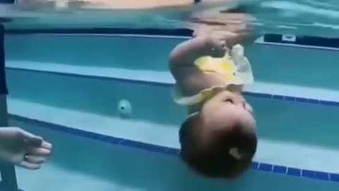 He such a fish