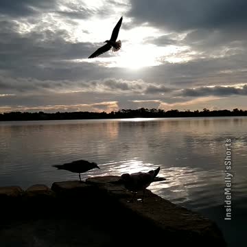 Sunrise in Paradise Moment