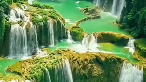 Nature lover whatsapp status full screen status 2022