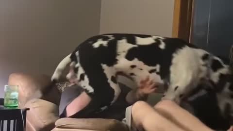 If I fits, I sits