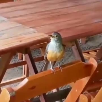 Wise corner on the beach!♾