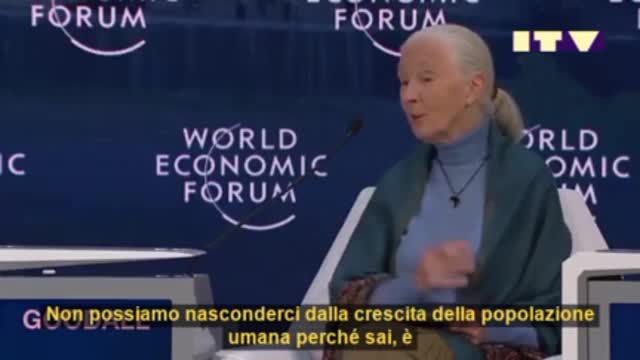 Jane Goodall (WEF): "Non possiamo nascondere la crescita dalla popolazione umana.