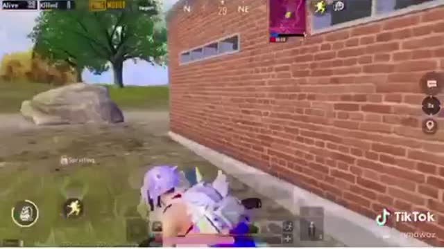 pubgmobile dowz