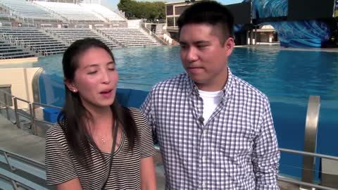 Kobe The Therapy Dog Meets Dolphins and Whales At SeaWorld San Diego