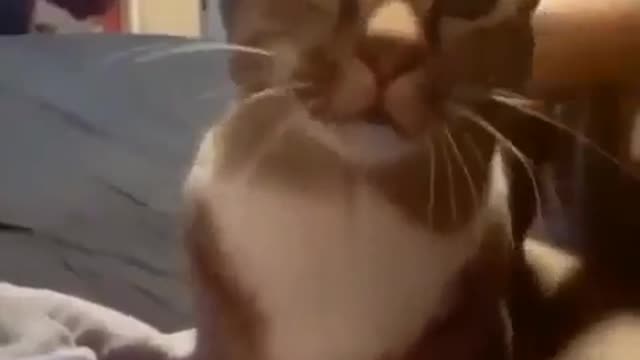 She wants to cuddles 2021
