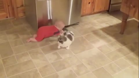 Very funny baby and cat videos - PART4