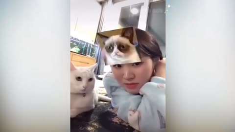 Cats attacking people!!!!