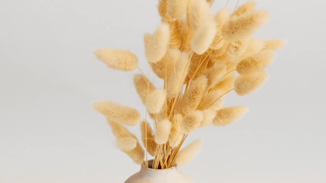 A Vase Of Grass Fluffy Flowers