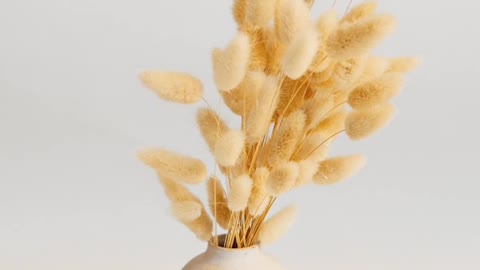 A Vase Of Grass Fluffy Flowers