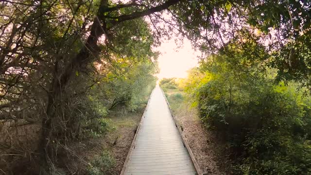 MY LITTLE VIDEO NO. 117--Glory Beach, Jekyll Island