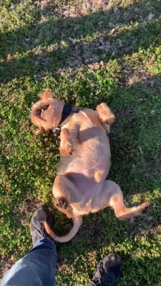 Charlie mother Fluffer I hope that doesn’t stink