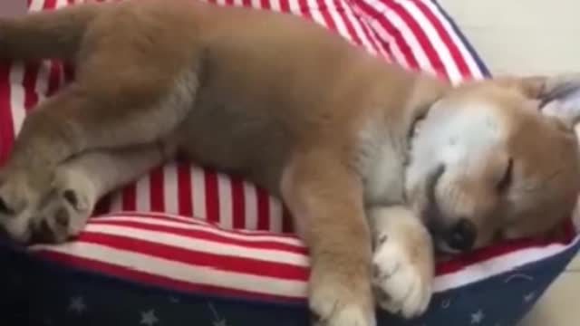 mother and son