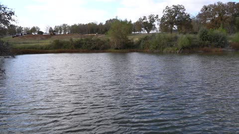 Test 11/8/2023 Video-1