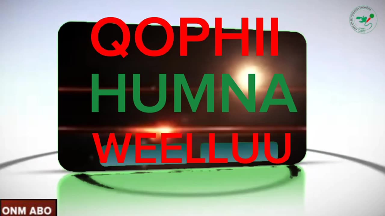 Qophii Humna Weelluu ONM-ABO Ebla 9-2024 itti Dhiyaadhaa!