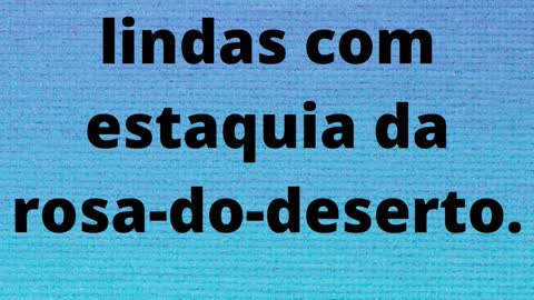 Rosas do Deserto