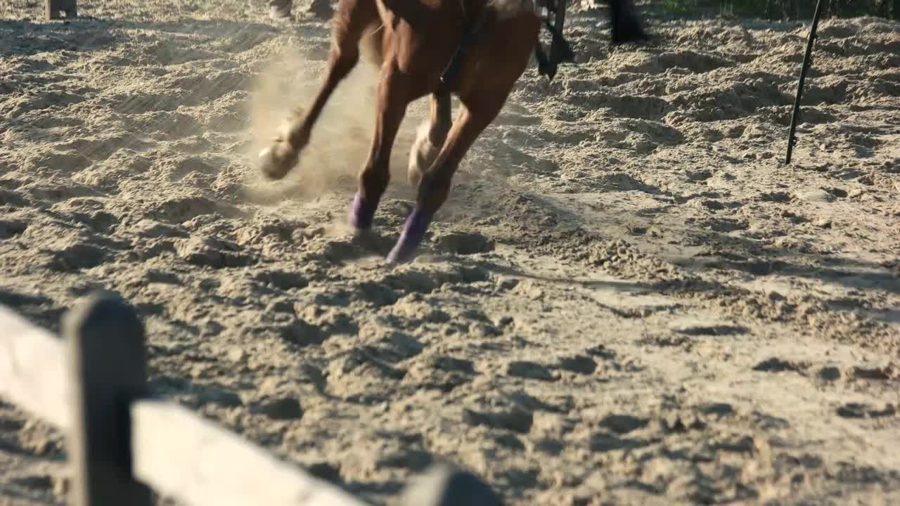 Equestrian riding horseback on training ground