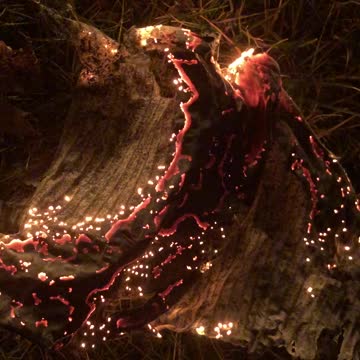 Relax - cardboard ember on a windy night