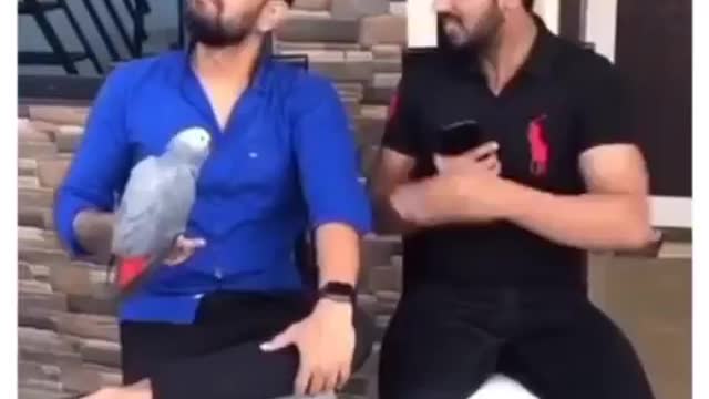 VERY FUNNY VIDEO CLIPS (SHORTS) 012