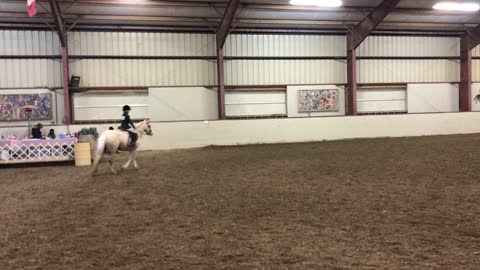 First horseshow