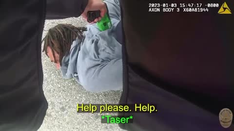 American Pigs Goes Overkill ( Part 2 ) 🤬🇺🇸🐷