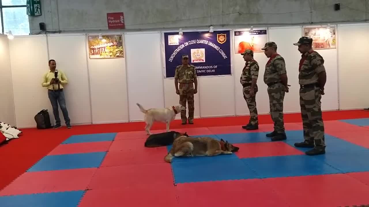 CISF demonstration of Dog Squad