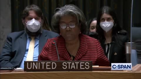 US Ambassador to UN Claims There Are No Bio Weapons Programs in Ukraine