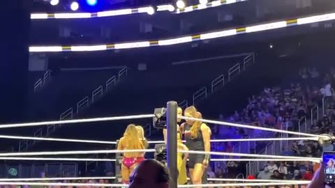 WWE women's fight