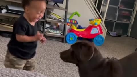 Dog and baby play together😍