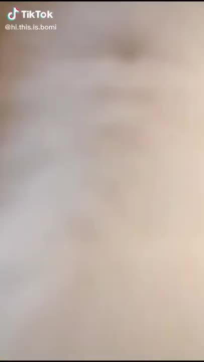 Lovely cat funny video | #cats