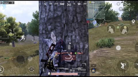 Mysterious death in pubg/bgmi