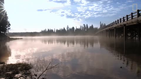 Spend a Relaxing Hour in Yellowstone’s Beautiful