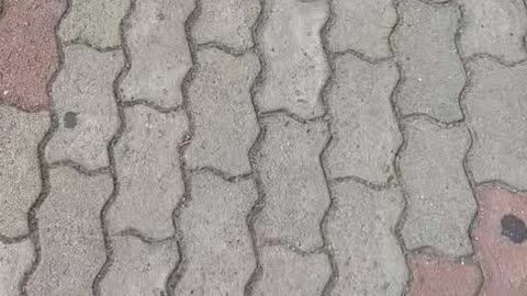 man walking(foot view)