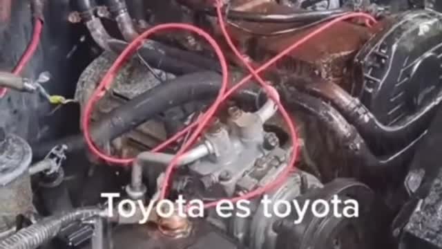 Only Toyota products have such good quality and durability