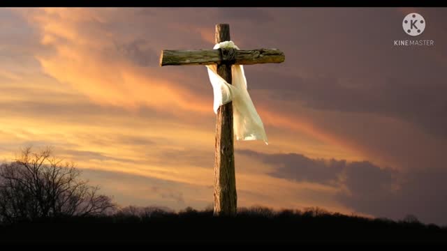 Brother TJ Preaching