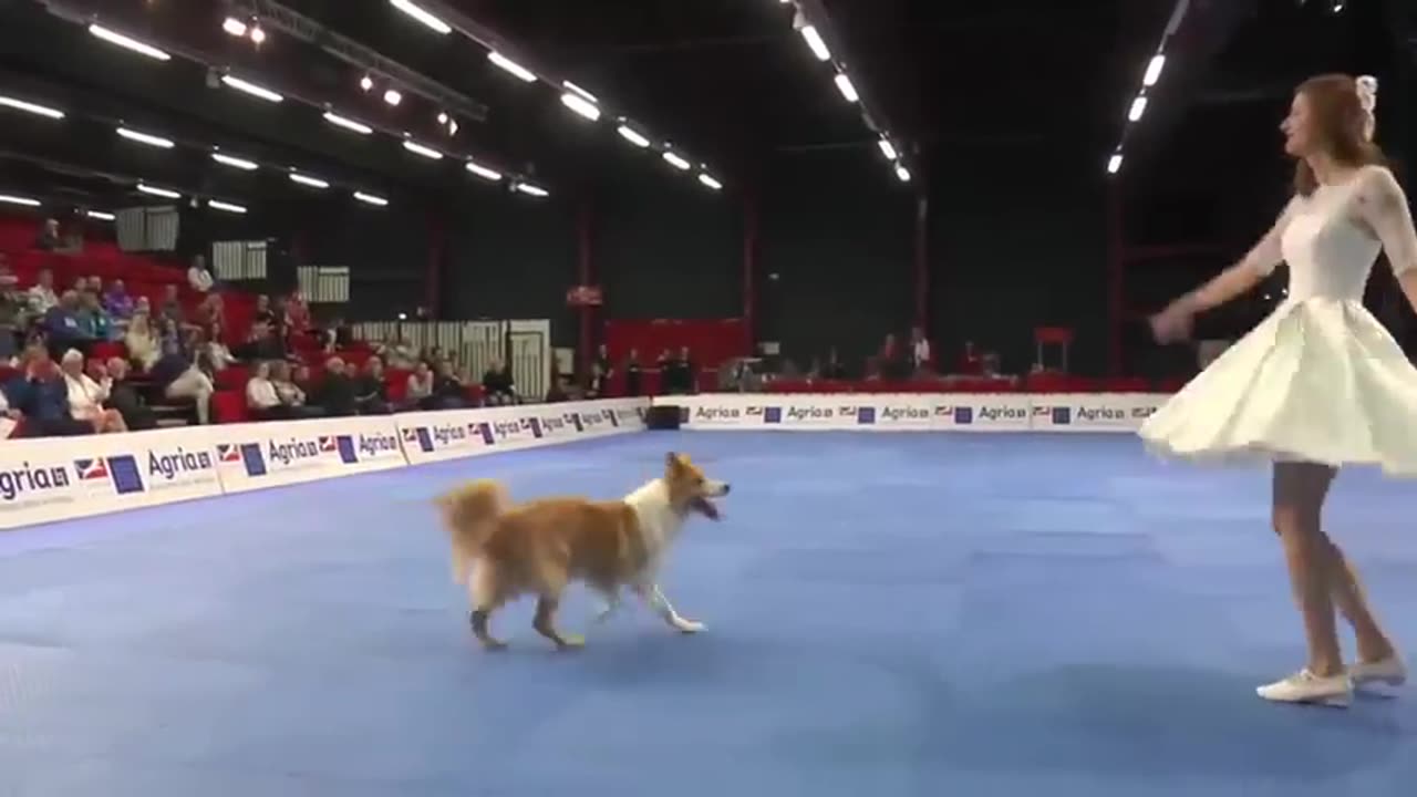 Cute Young Girl & Dog Dancing