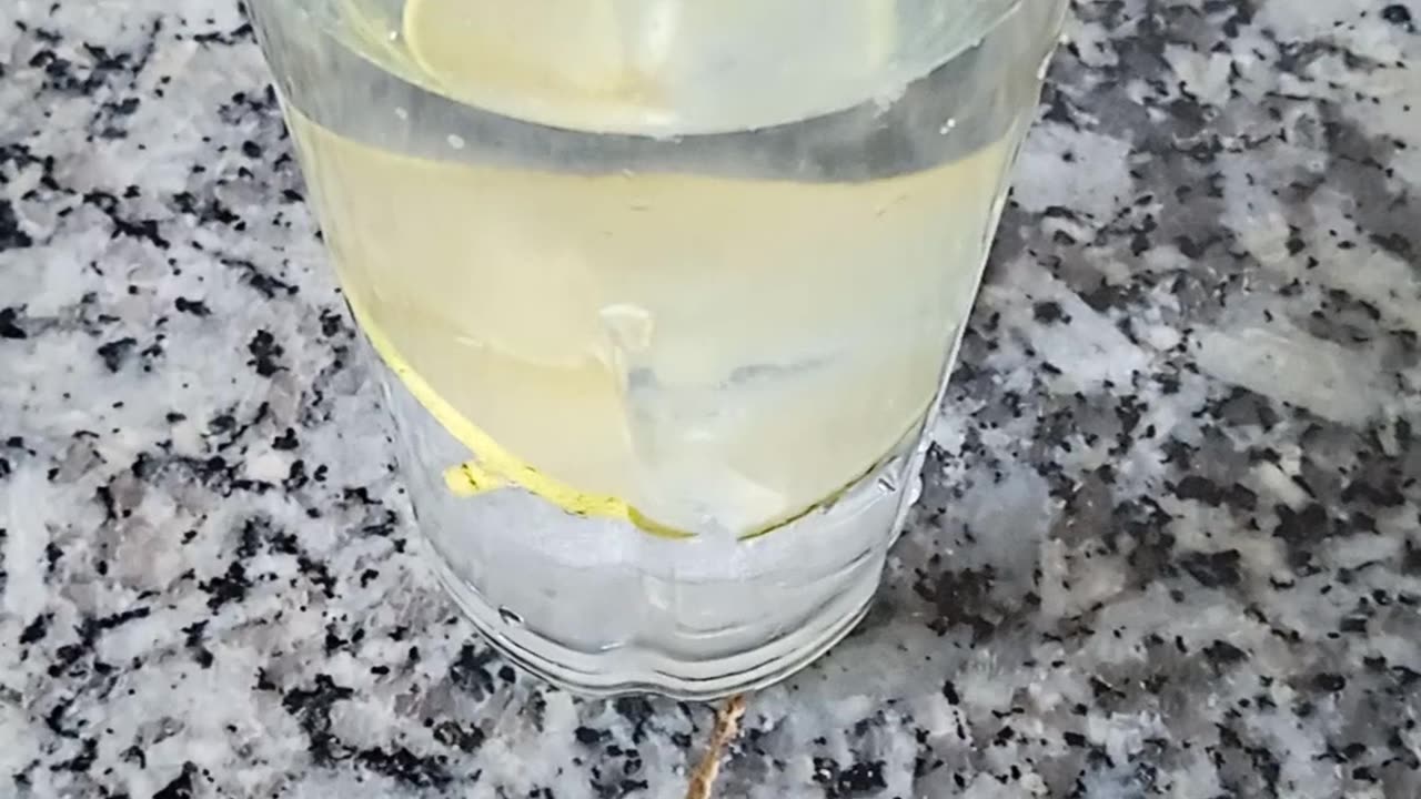 Lemonade