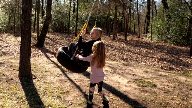Tire Swing January 2021