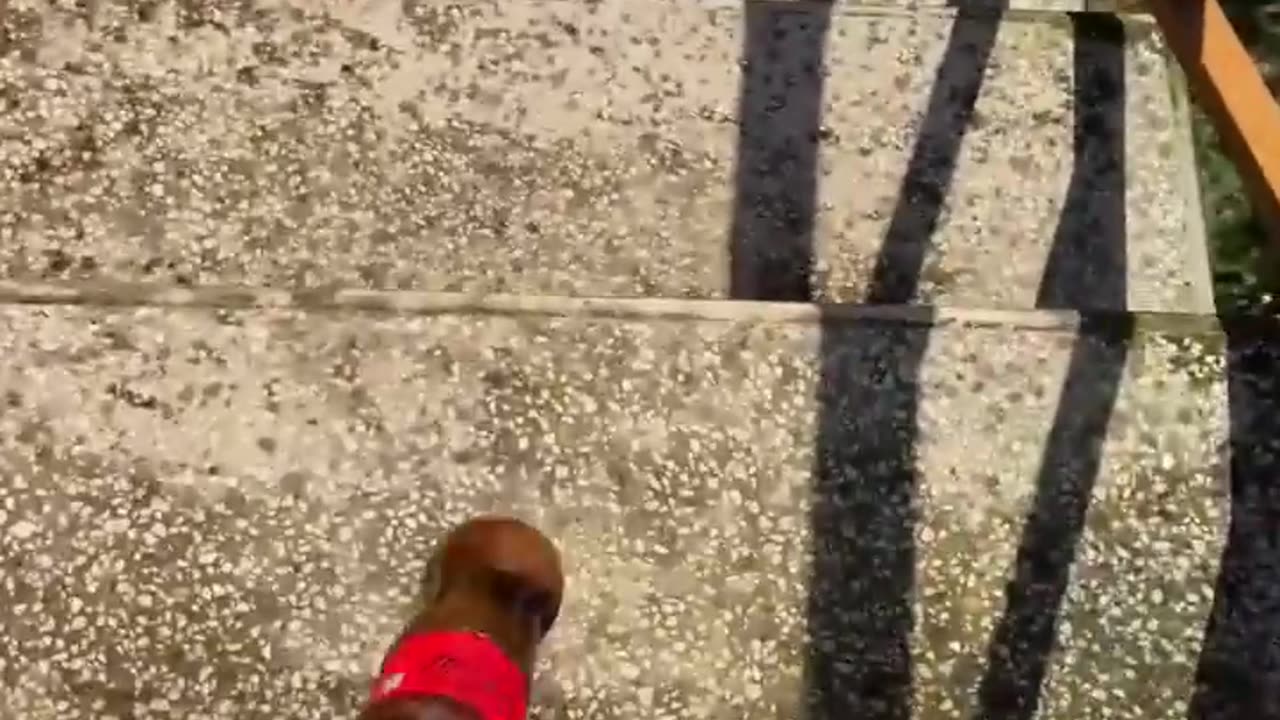 Crashing bottle