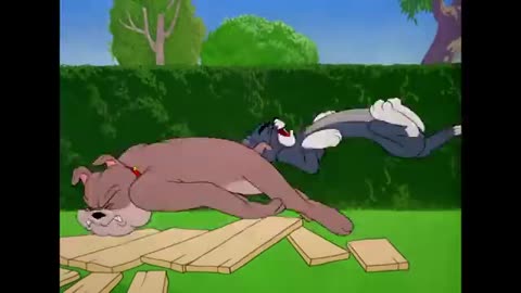 Tom and Jerry show