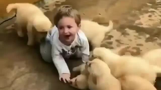 The kid overwhelmed with puppy love