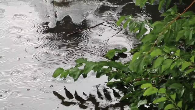 Rain sound for sleep - 40 Minutes of raindrops! Sleep well!