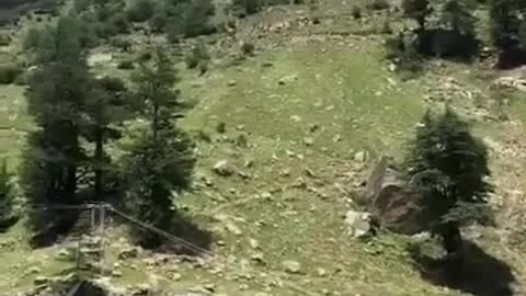 India_Mountain Slide-Destroys Bridge