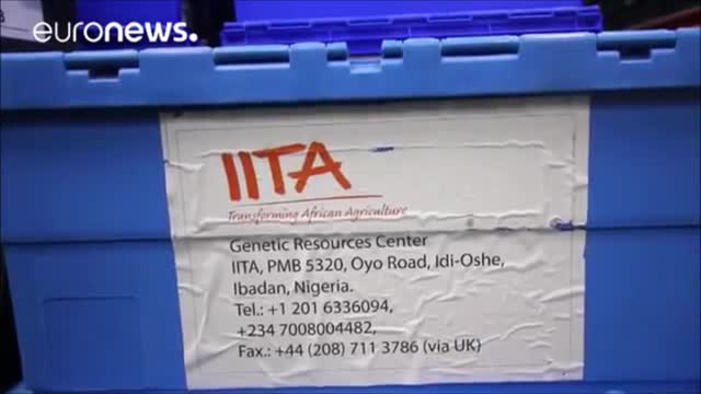 SIGNES DE LA FIN CONNAIS TOI, TOI MÊME