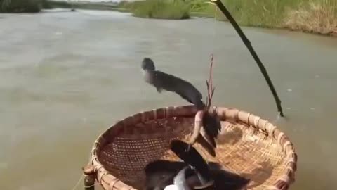 How?