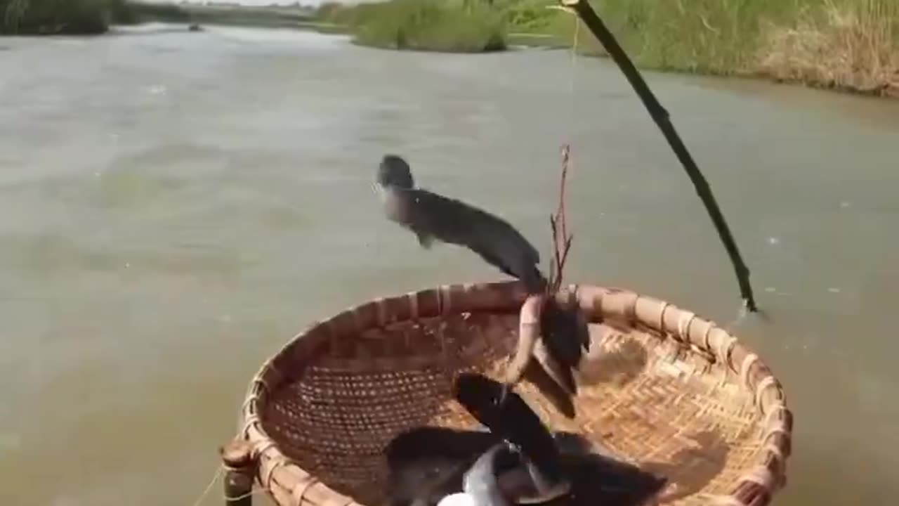 How?