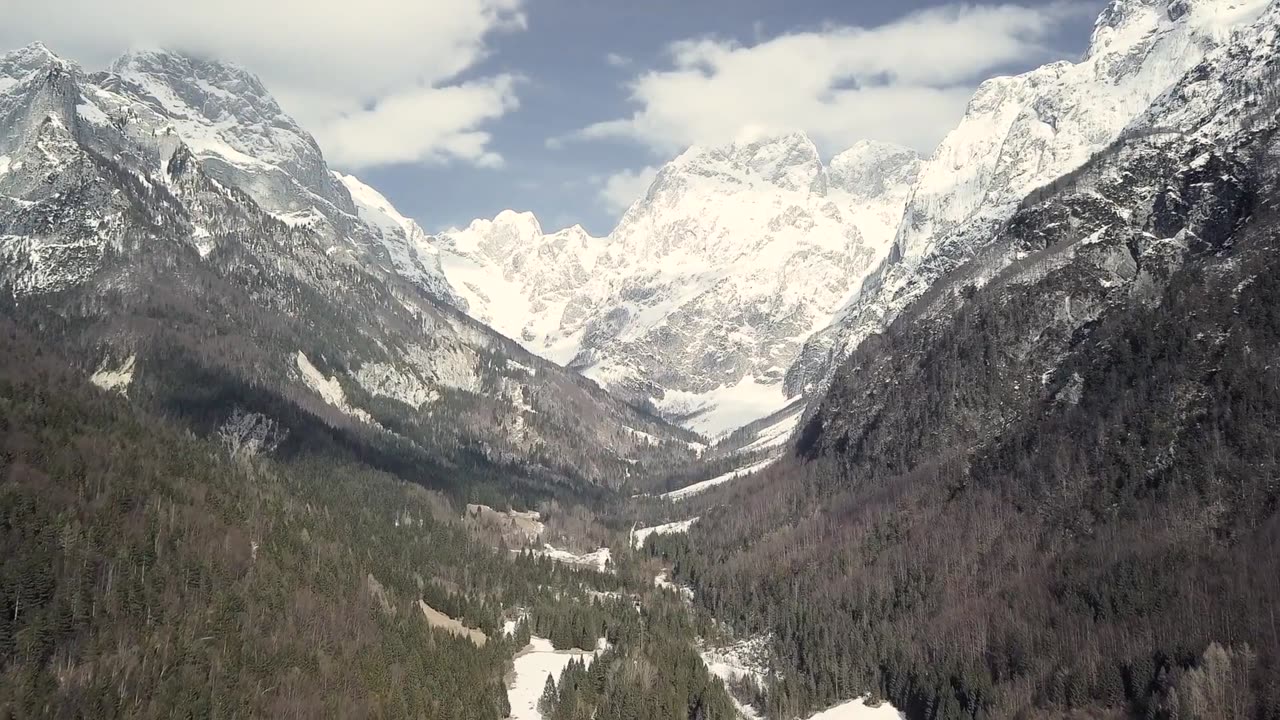 Beautiful forest / Nature Mountain Life _ free mountain _ Drone